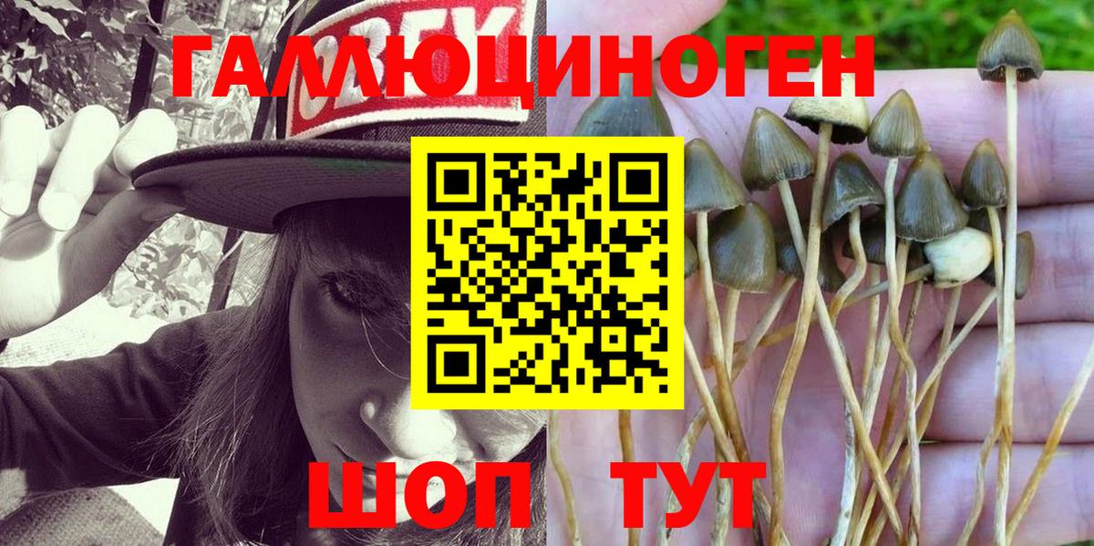 Псилоцибиновые грибы Magic Shrooms Борисоглебск