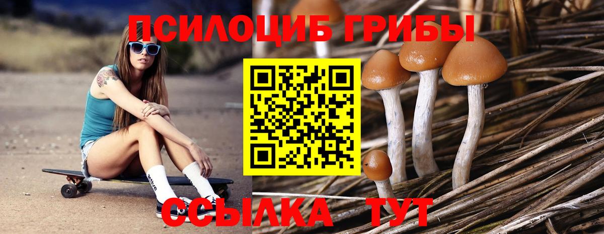 Борисоглебск  Галлюциногенные грибы прущие грибы  Вход с VPN  Галлюциногенные грибы Psilocybine cubensis 